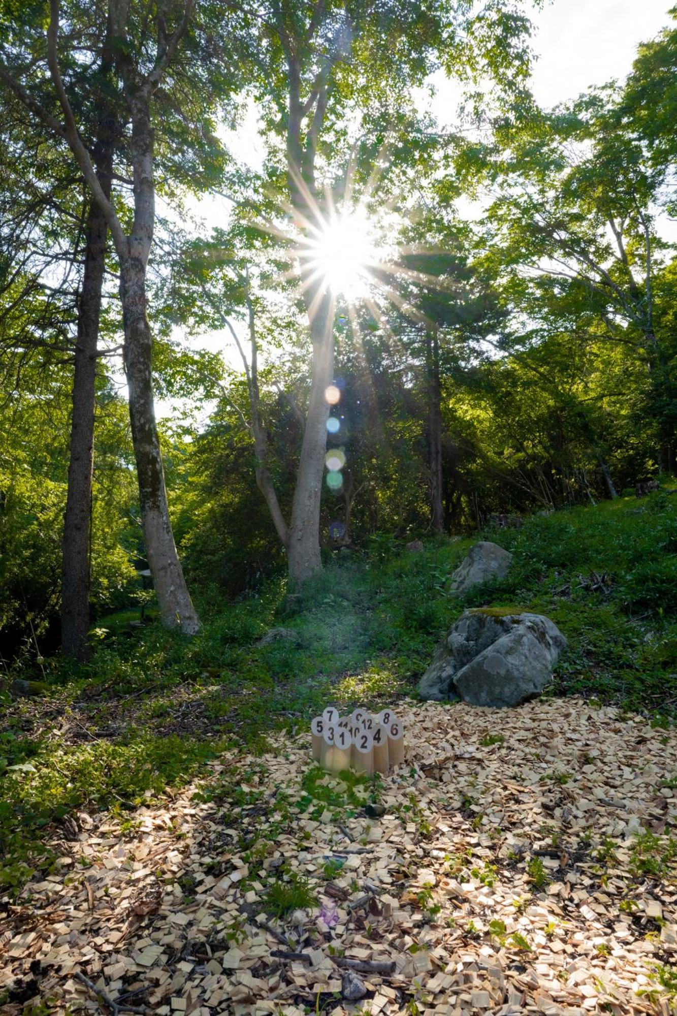 Aknot Hakone 大涌谷を望むモダニズム建築 東京から90分 Βίλα Εξωτερικό φωτογραφία
